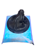 Ford BA/ BF Falcon Manual Shifter Boot Trim